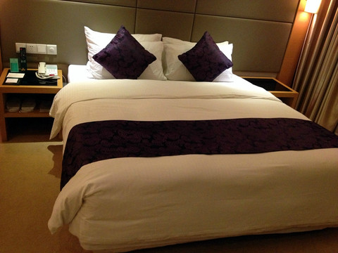 武汉帝盛酒店(江汉路步行街汉口江滩店)主图