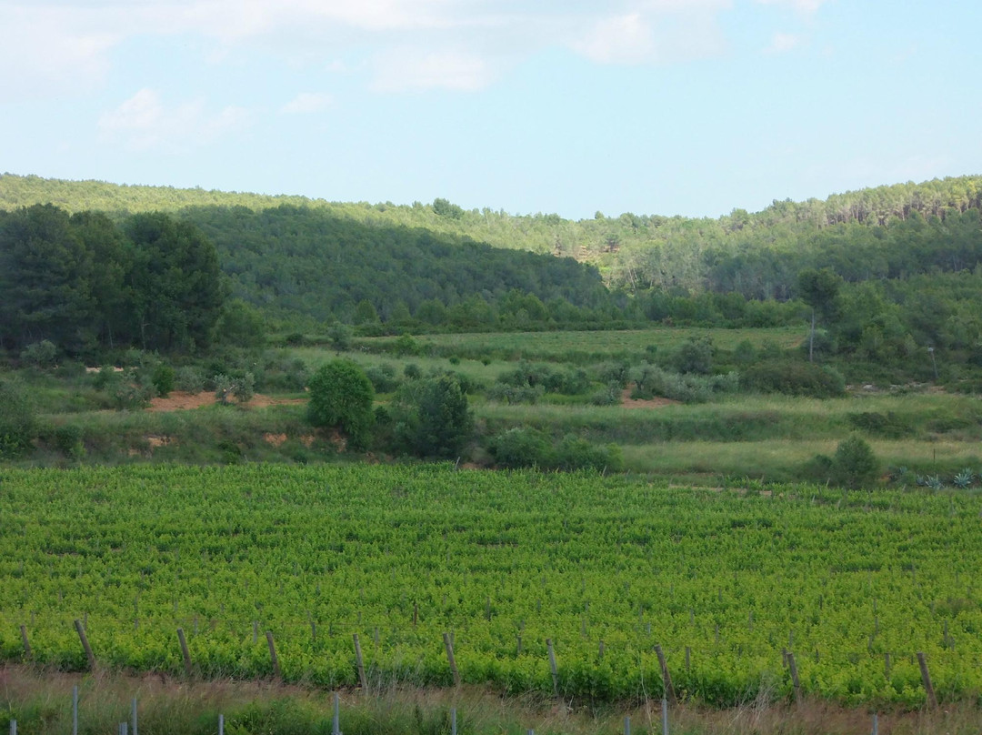 Finca Viladellops-Viladellops必去景点