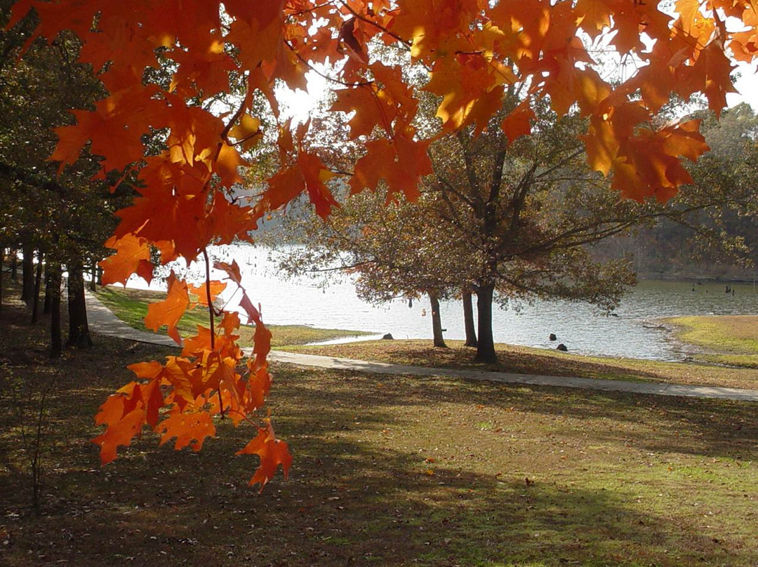 Davidsonville Historic State Park景点图片