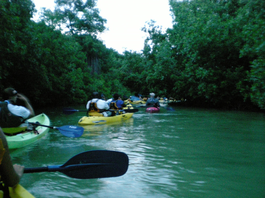 Las Tortugas Adventures-Canovanas必去景点