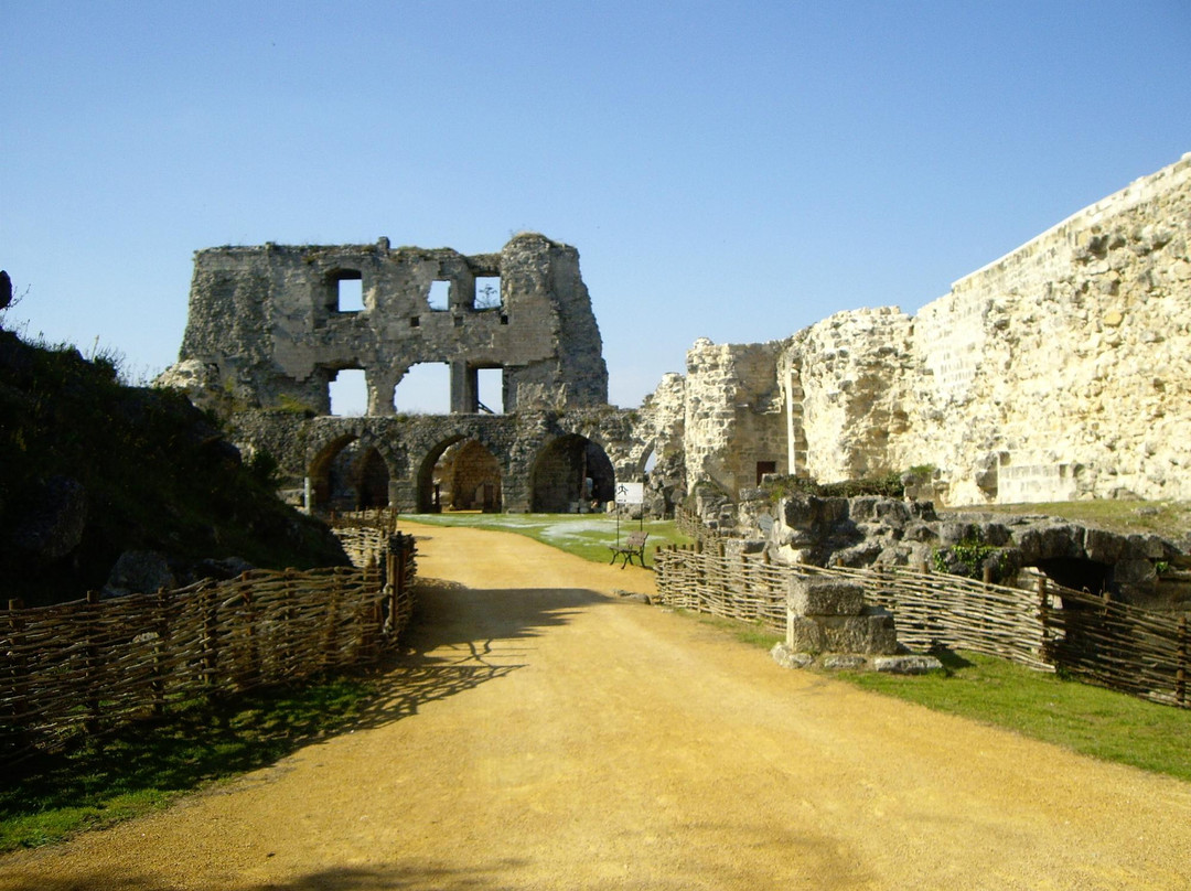 Coucy-le-Chateau-Auffrique旅游攻略图片