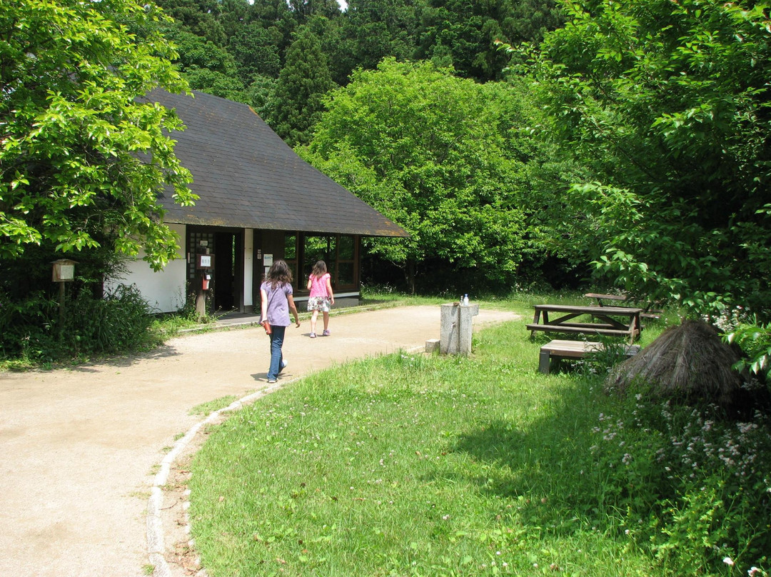 Ushiku Nature Sanctuary-牛久市必去景点