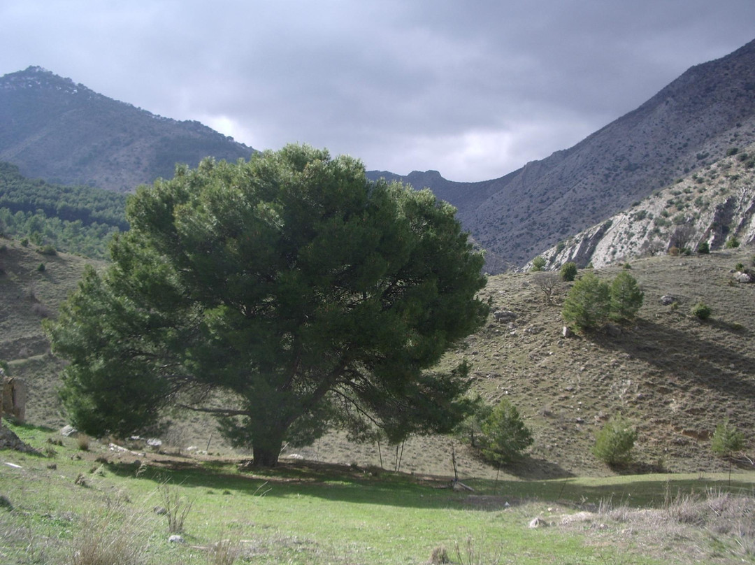 Parque Natural Sierra Magina-Albanchez de Magina必去景点