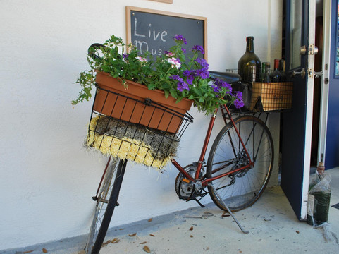 Hammock Wine and Cheese-棕榈海岸必去景点