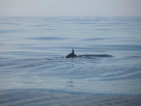 Black Runner-阿尔布赞拉必去景点