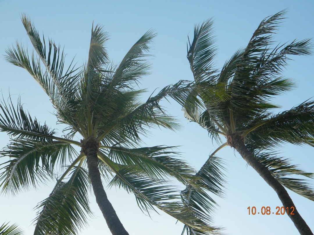 德吕西堡沙滩公园-火奴鲁鲁必去景点