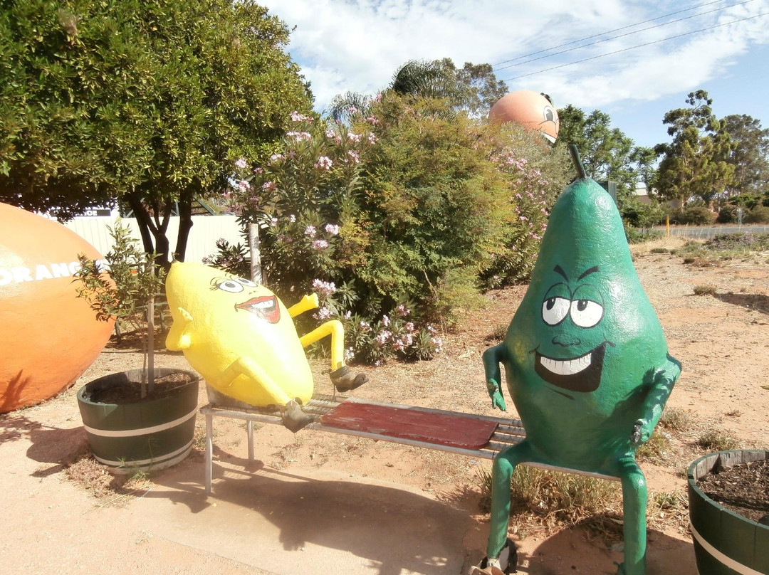 Buronga旅游攻略图片