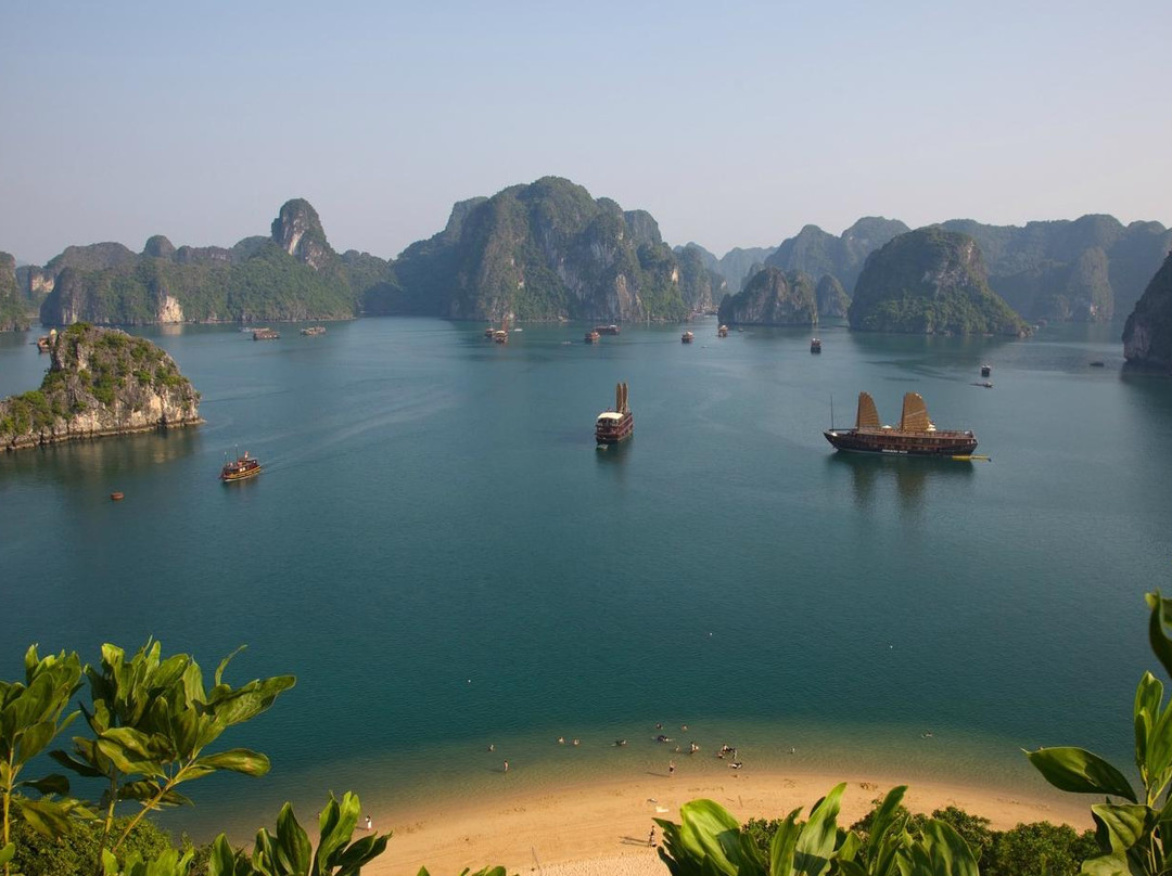 Asia Tour Advisor - Day Tours景点图片