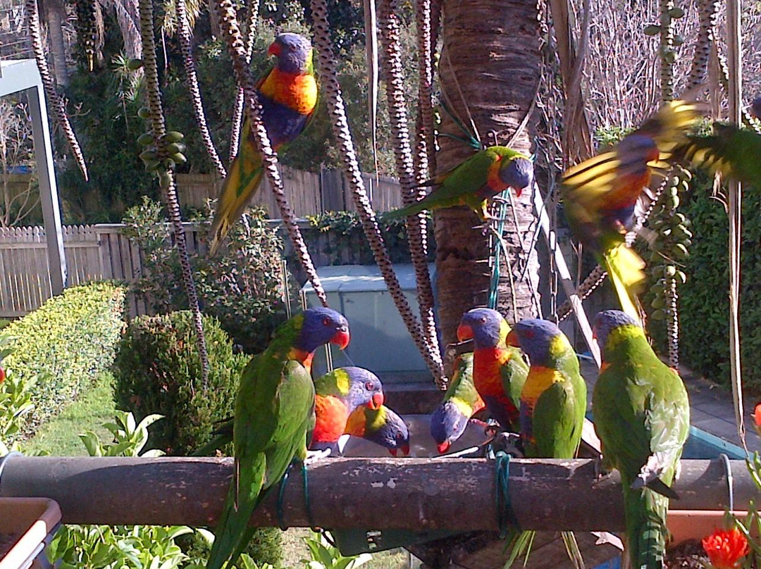 屈臣湾酒店住宿-Syl's Sydney Homestay