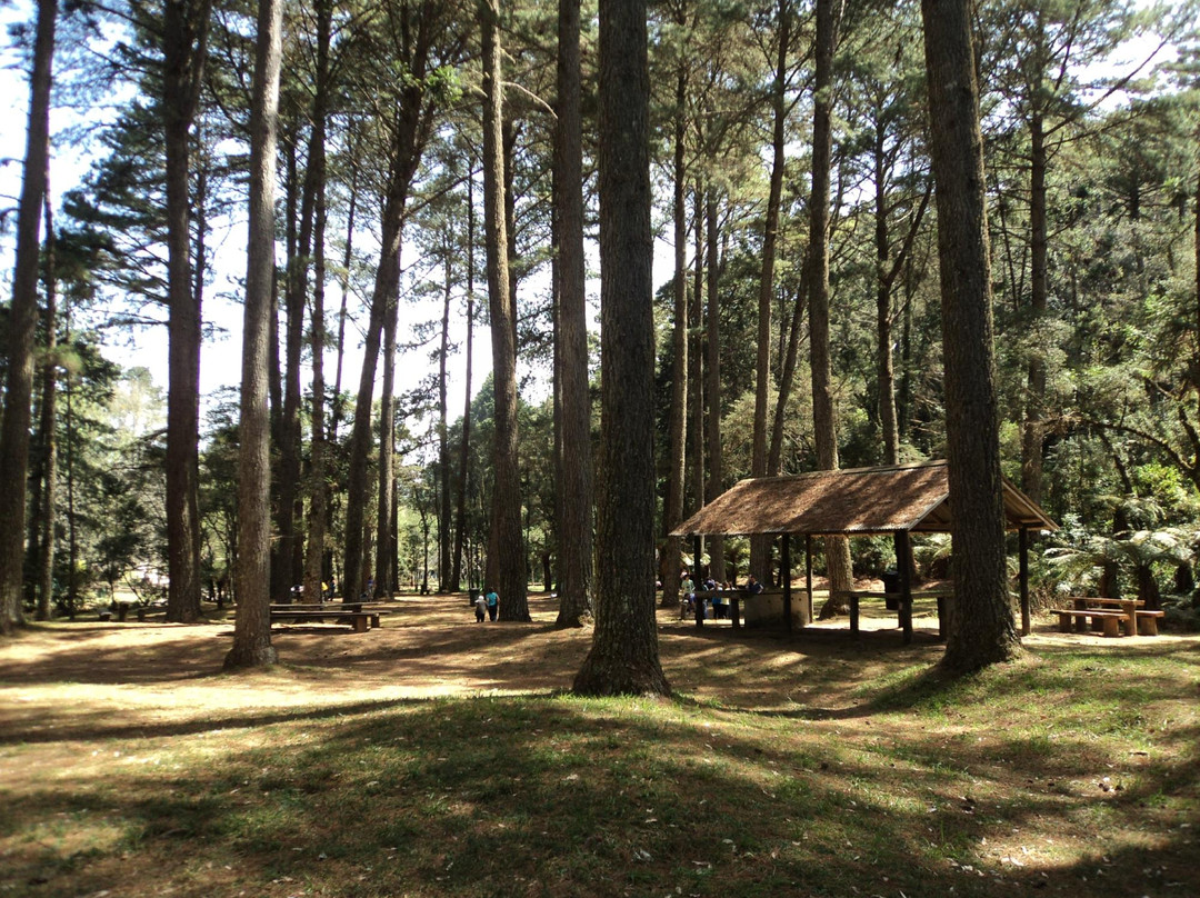 Parque Estadual Campos do Jordao-坎普斯－杜若尔当必去景点