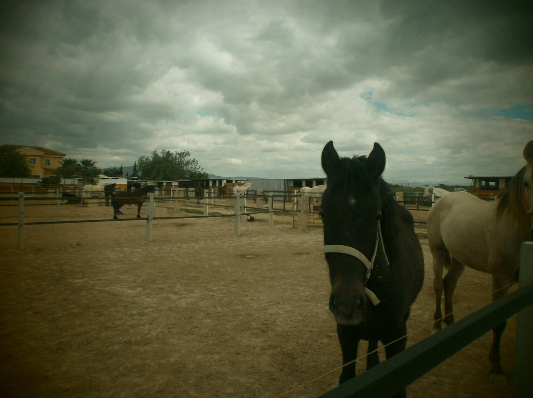 Finca Montana-Almoradi必去景点