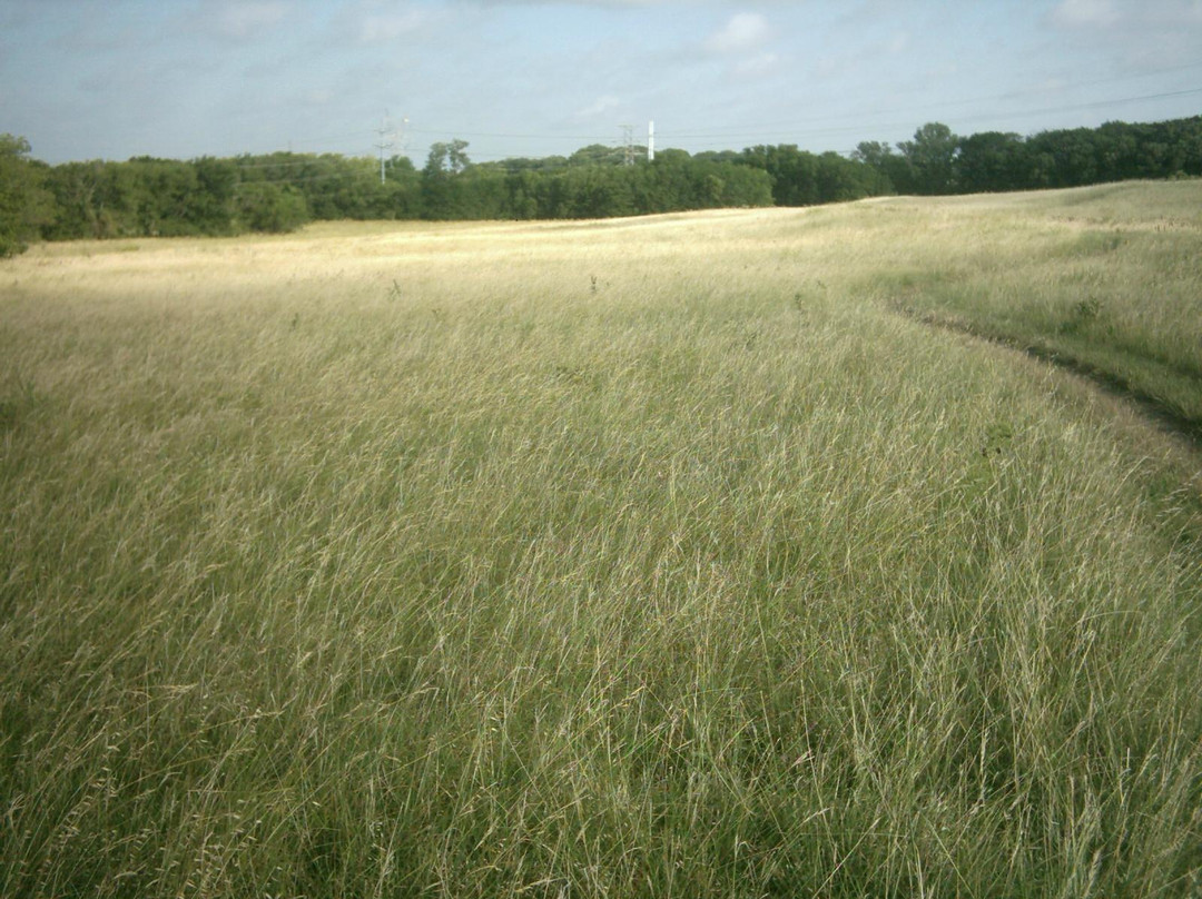 Oak Point Park & Nature Preserve-普莱诺必去景点