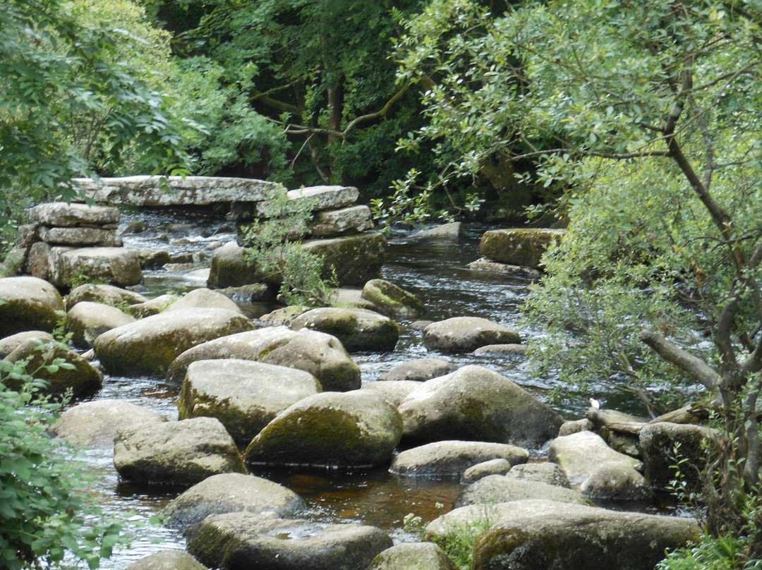 Dartmeet River Junction景点图片