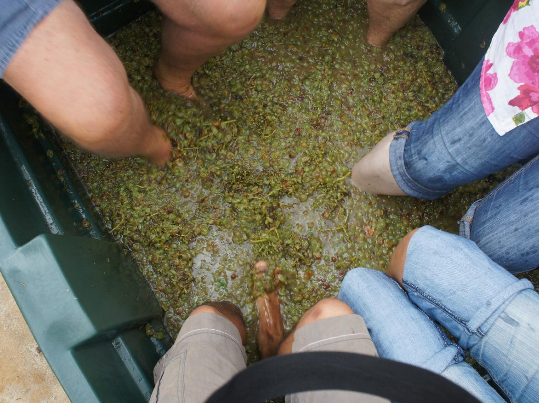 Farmer Redbeard-Ashton必去景点