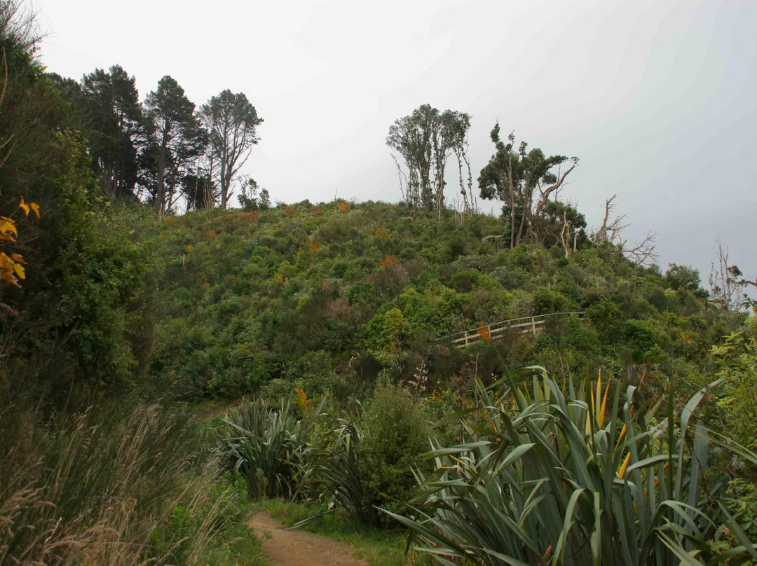 Tinakori Hill-惠灵顿必去景点