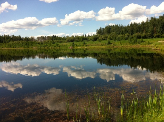Wedgewood Wildlife Sanctuary-费尔班克斯必去景点