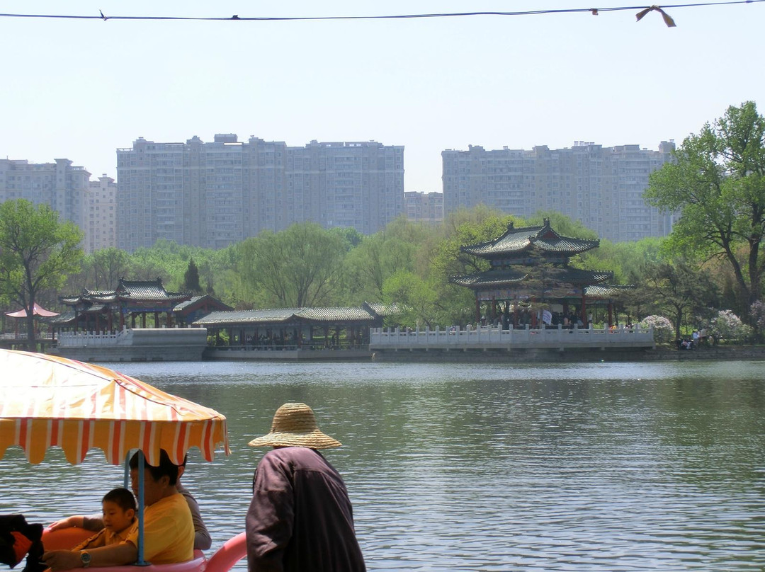 鞍山二一九公园景点图片