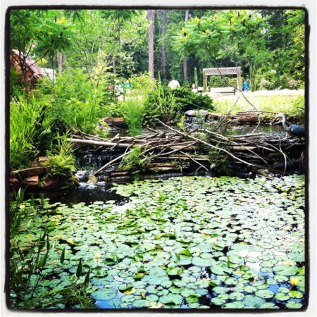 Mercer Botanic Gardens-汉布尔必去景点