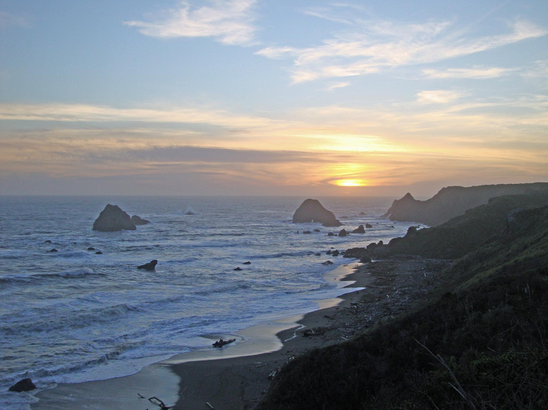 Sonoma Coast State Beach景点图片