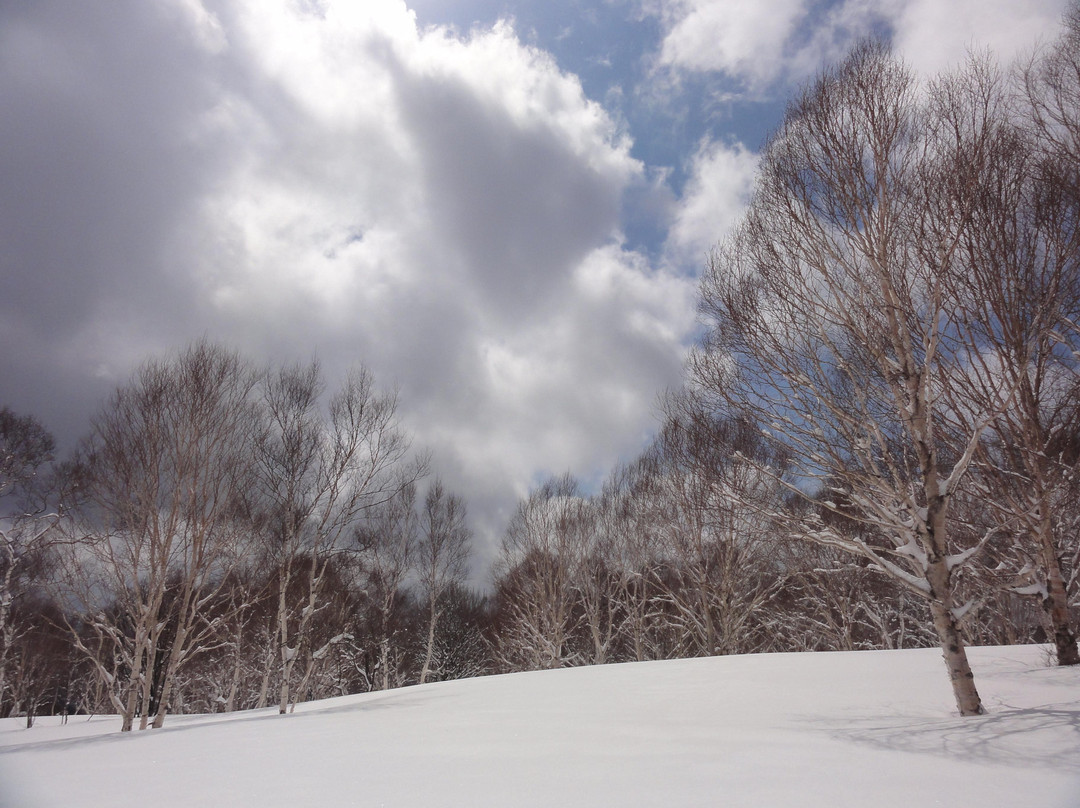 Hotakabokujo Ski Area景点图片