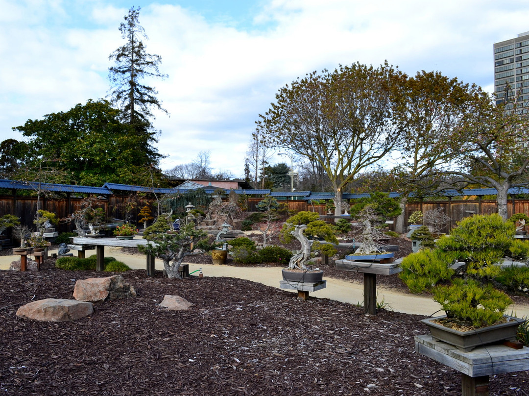 Lakeside Park and Garden Center景点图片