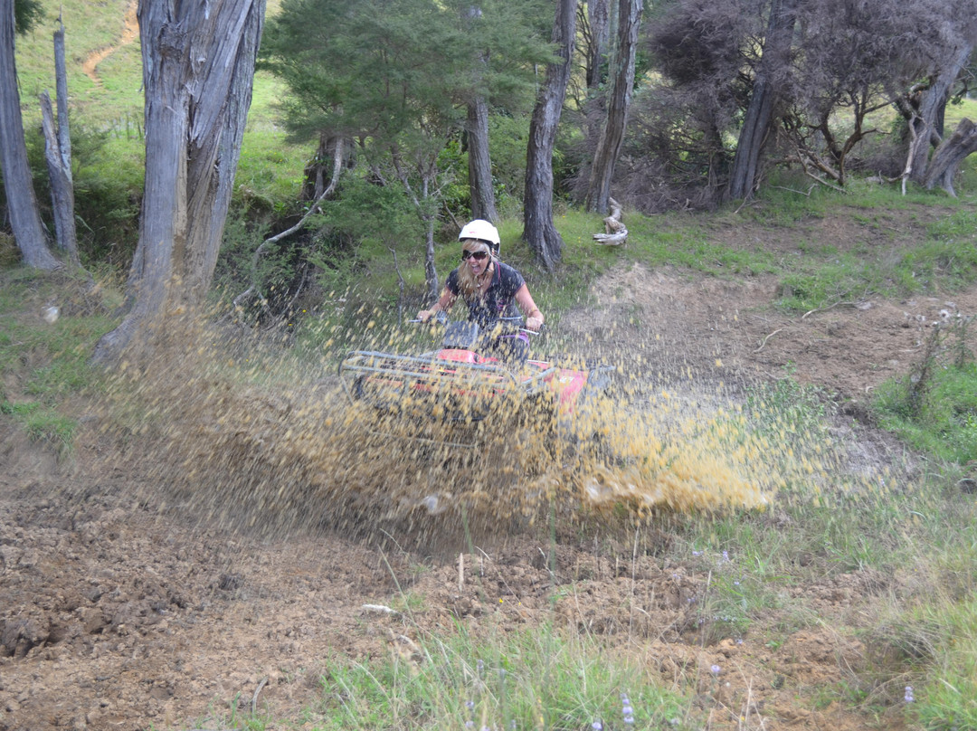 NZ Quadbike Adventures-菲蒂昂格必去景点
