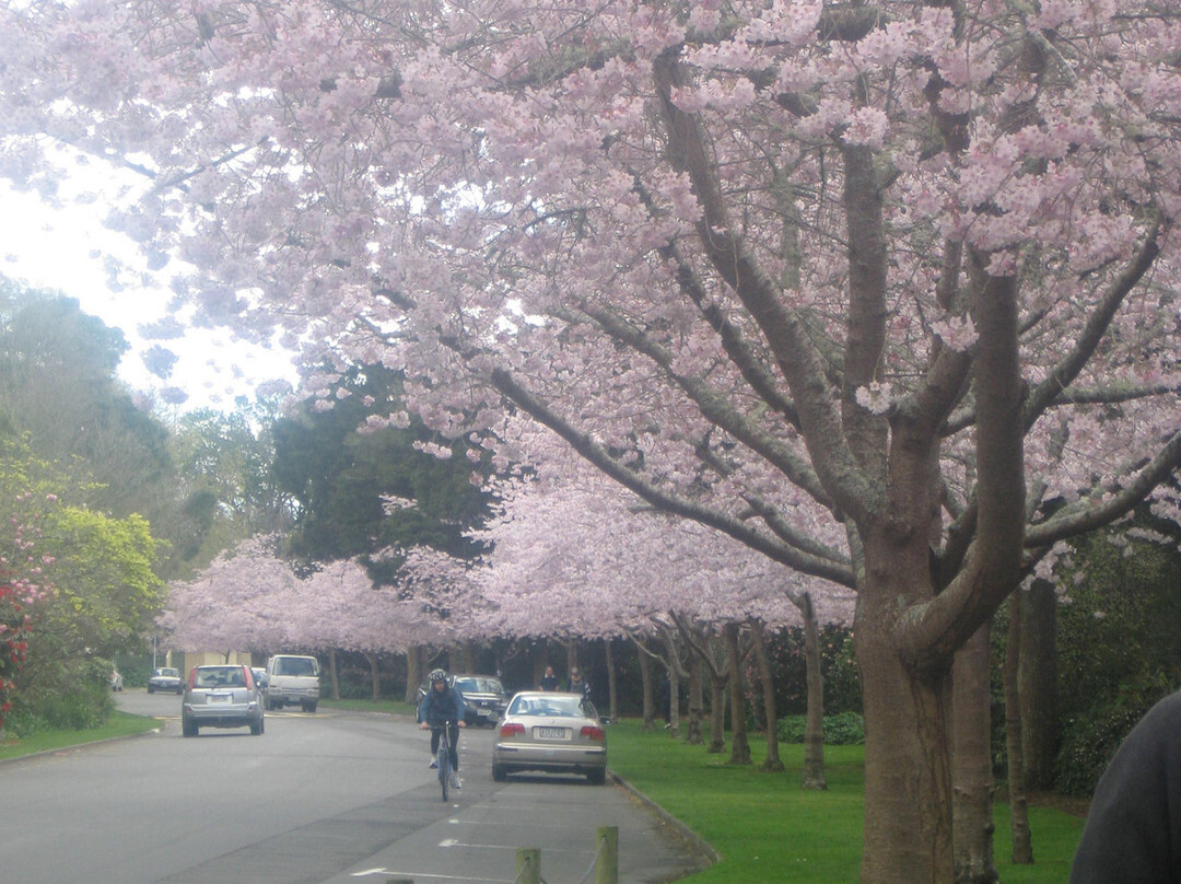 Victoria Esplanade景点图片