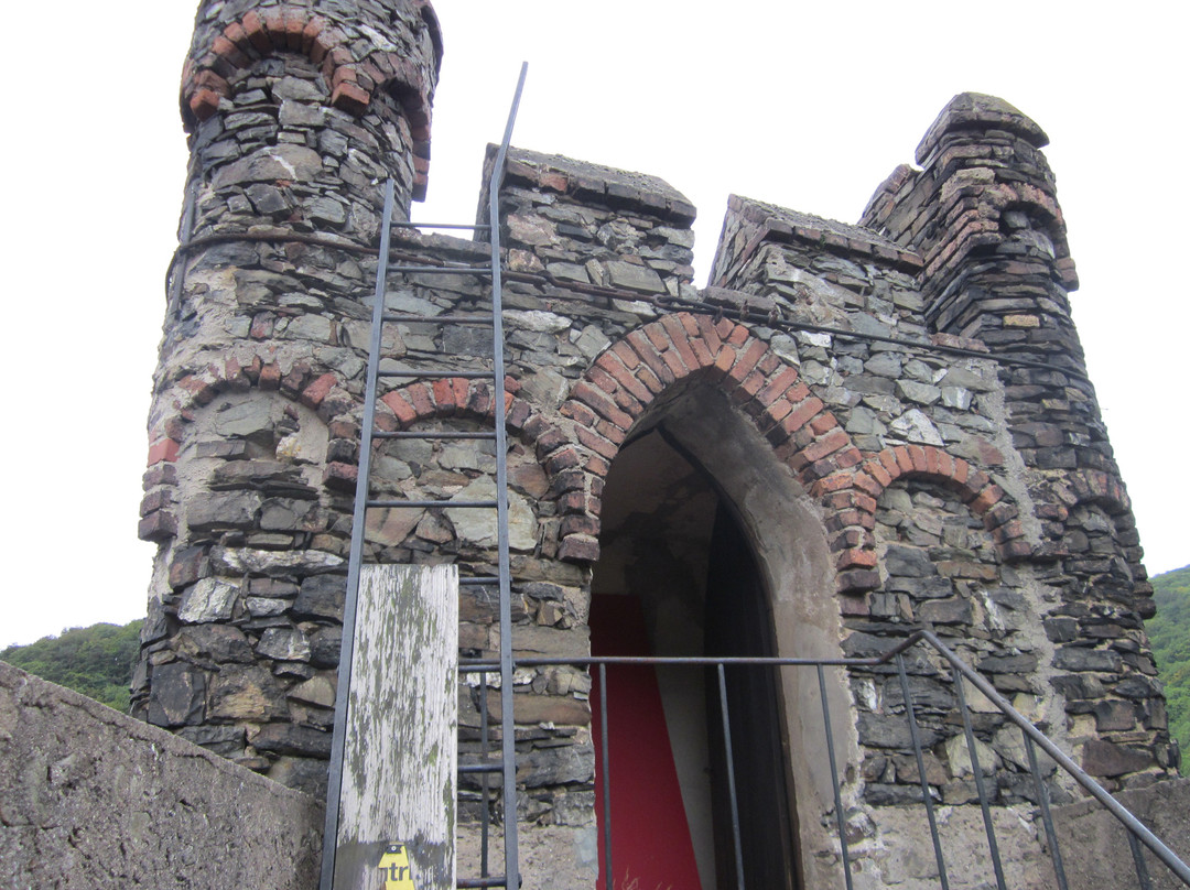 Reichenstein Castle景点图片