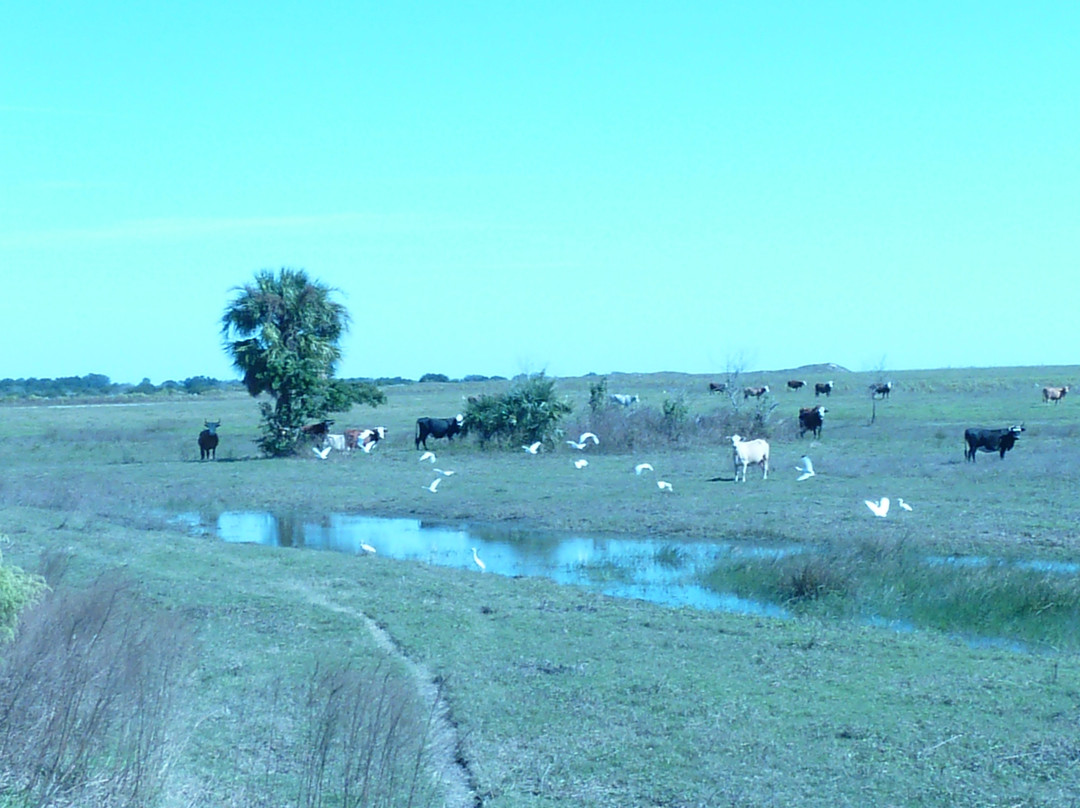 KICCO Wildlife Management Area-莱克威尔士必去景点