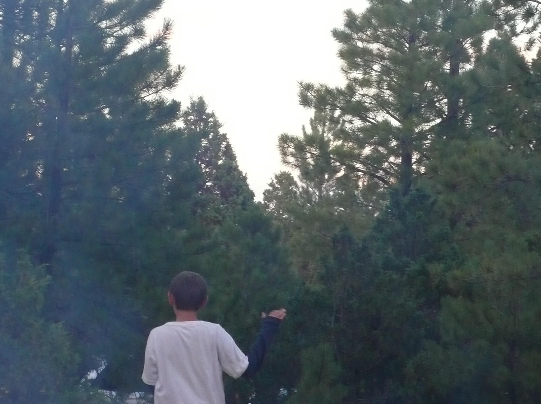Bryce Canyon RV Park & Campground