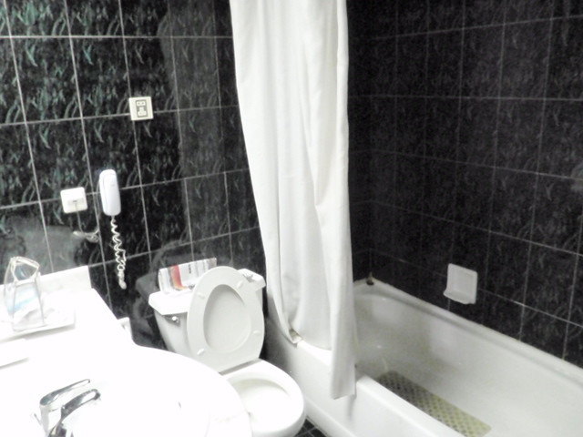 绿阳春酒店主图