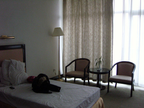 丹顶鹤大酒店主图