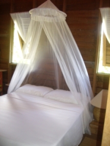 The Barbados Eco Lodge-客卧