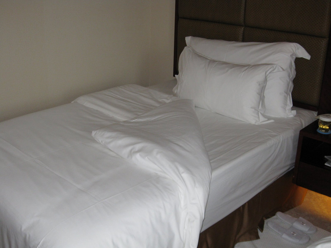 通程温泉大酒店主图