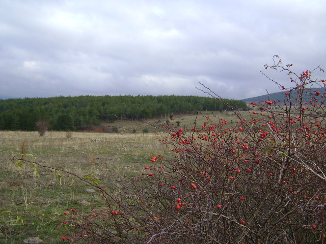 Sierra de Madrid景点图片