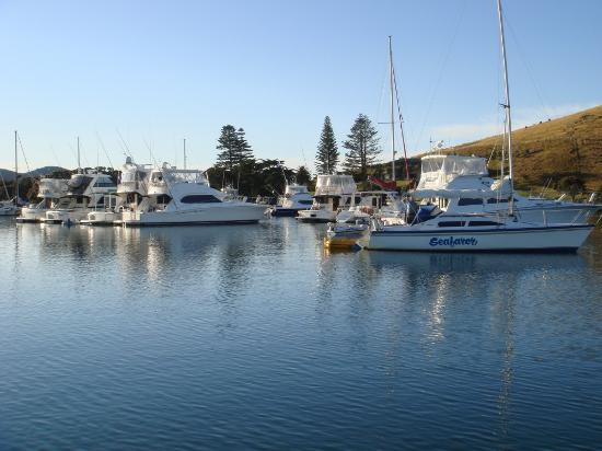 Mercury Bay-科罗曼德必去景点