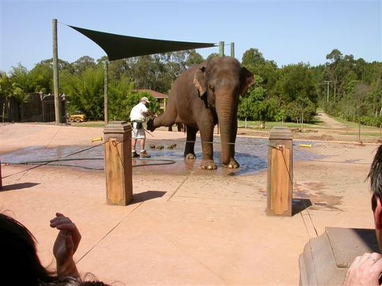 Australia Zoo-Beerwah必去景点