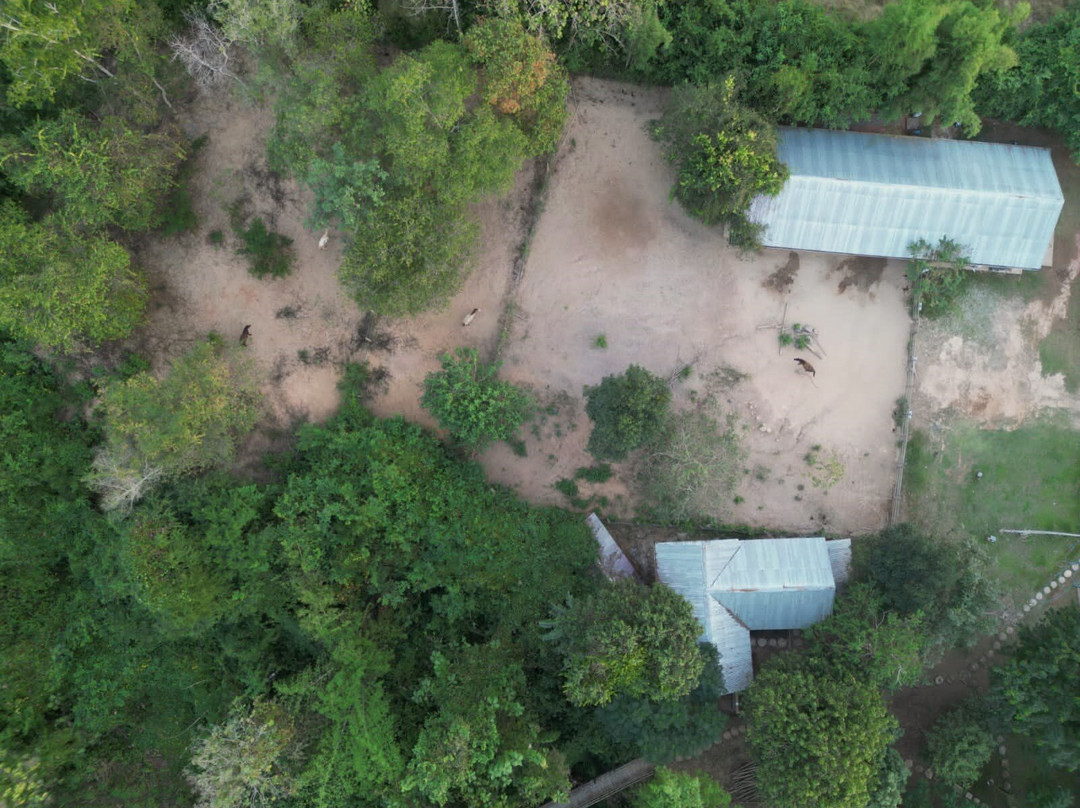 NamKhan Horses Stables-琅勃拉邦必去景点