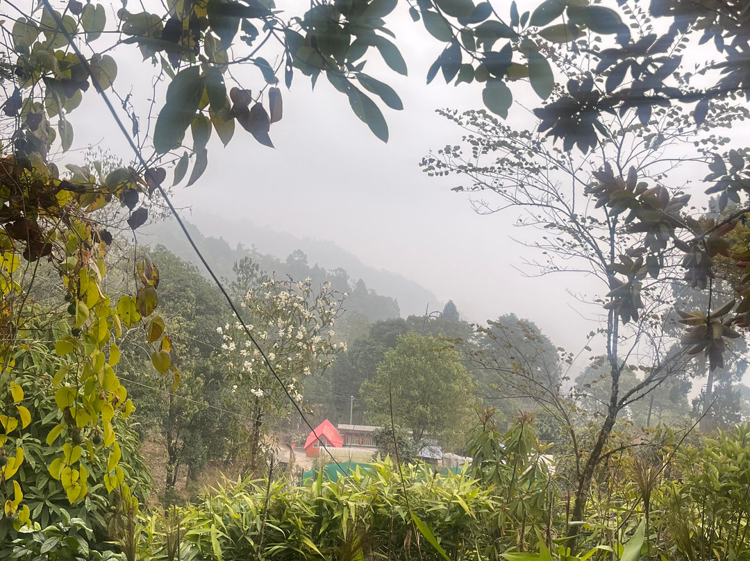 Arjun Homestay