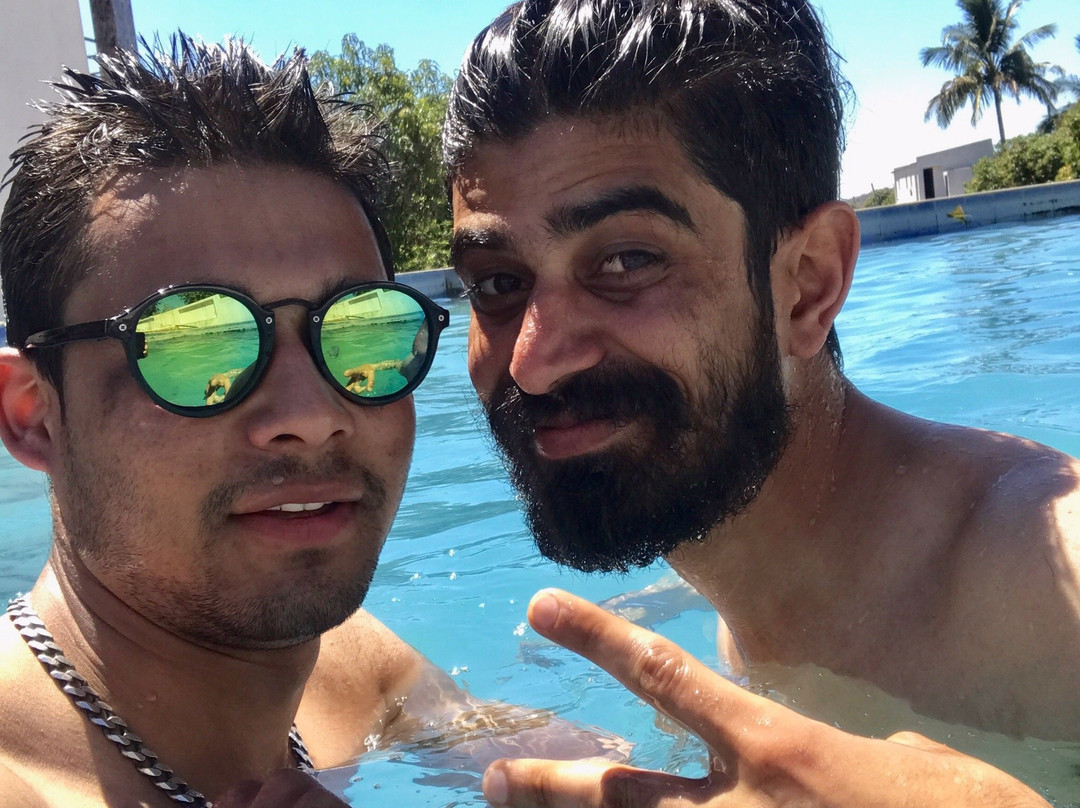 The Gir Garden主图