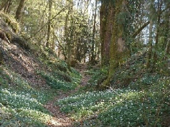 Saint-Saud-Lacoussiere旅游攻略图片