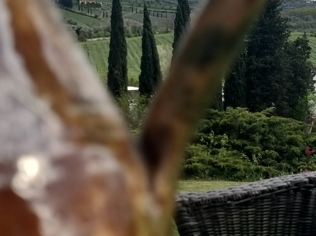 La Borraina B&B主图