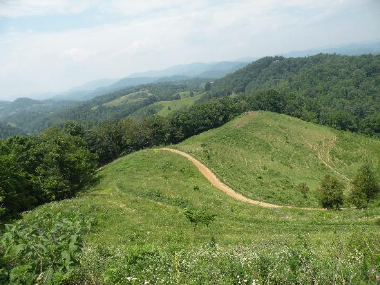 Sandy Bottom Trail Rides景点图片
