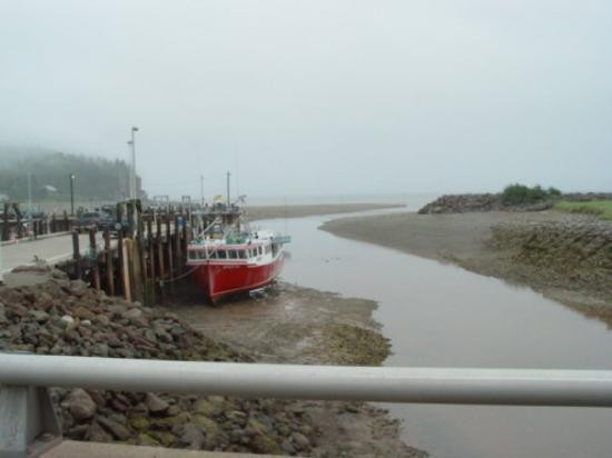 Bay Of Fundy-New Brunswick必去景点