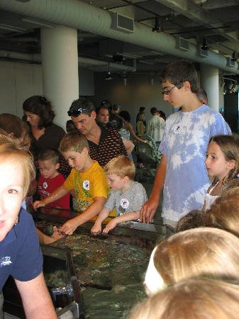 South Carolina Aquarium-查尔斯顿必去景点