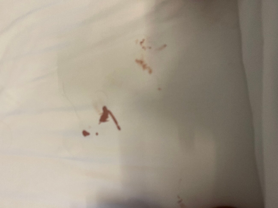 克斯汽车旅馆主图