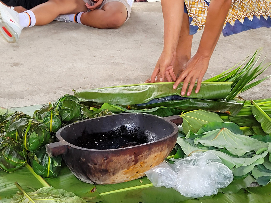 Samoa Cultural Village-阿皮亚必去景点