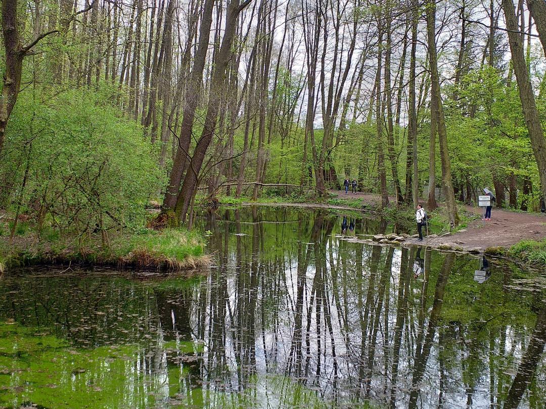 Niebieskie Zrodla Nature Reserve-Tomaszow Mazowiecki必去景点