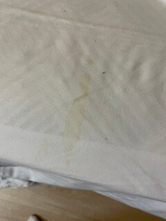 Cedar Lodge Motel主图