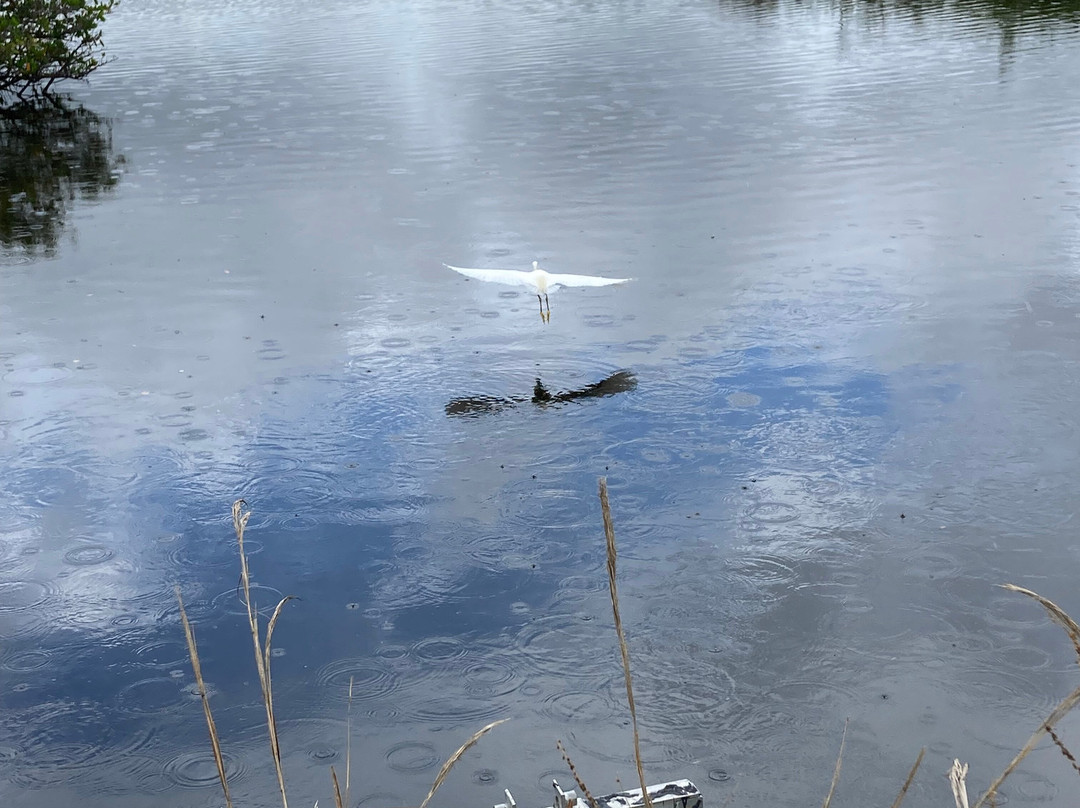 Merritt Island National Wildlife Refuge-Merritt Island必去景点